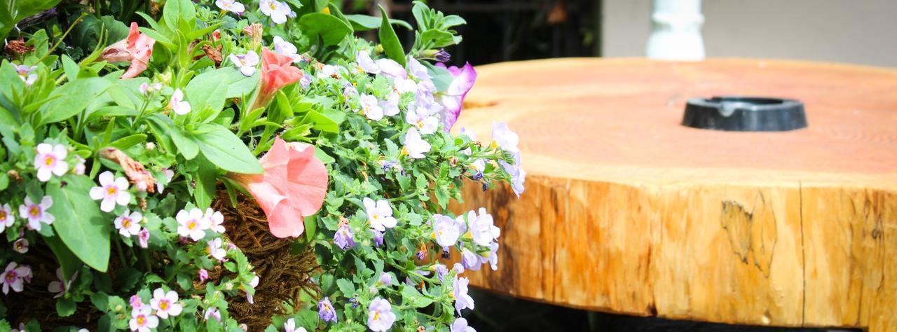 The Enniskerry Inn Ngoại thất bức ảnh